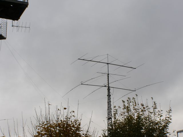 PB140796.JPG